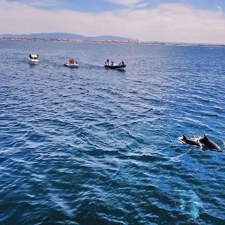 Villa In Algarve Near Sandy Beaches Villa *